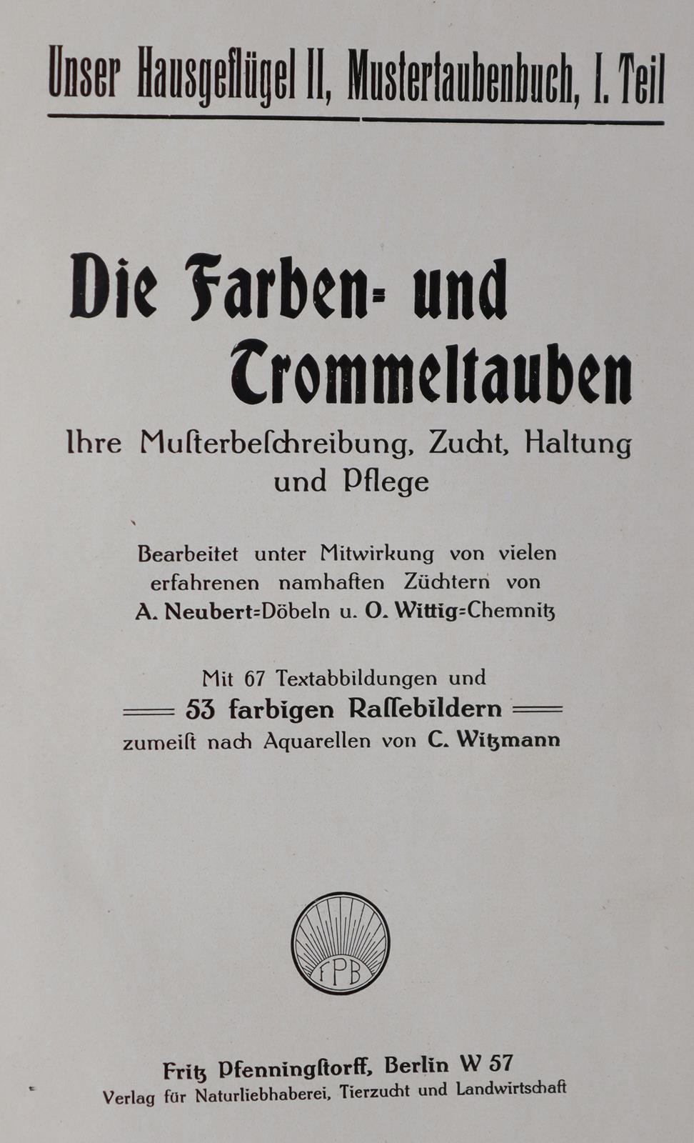 Baldamus,A.C.E. | Bild Nr.1