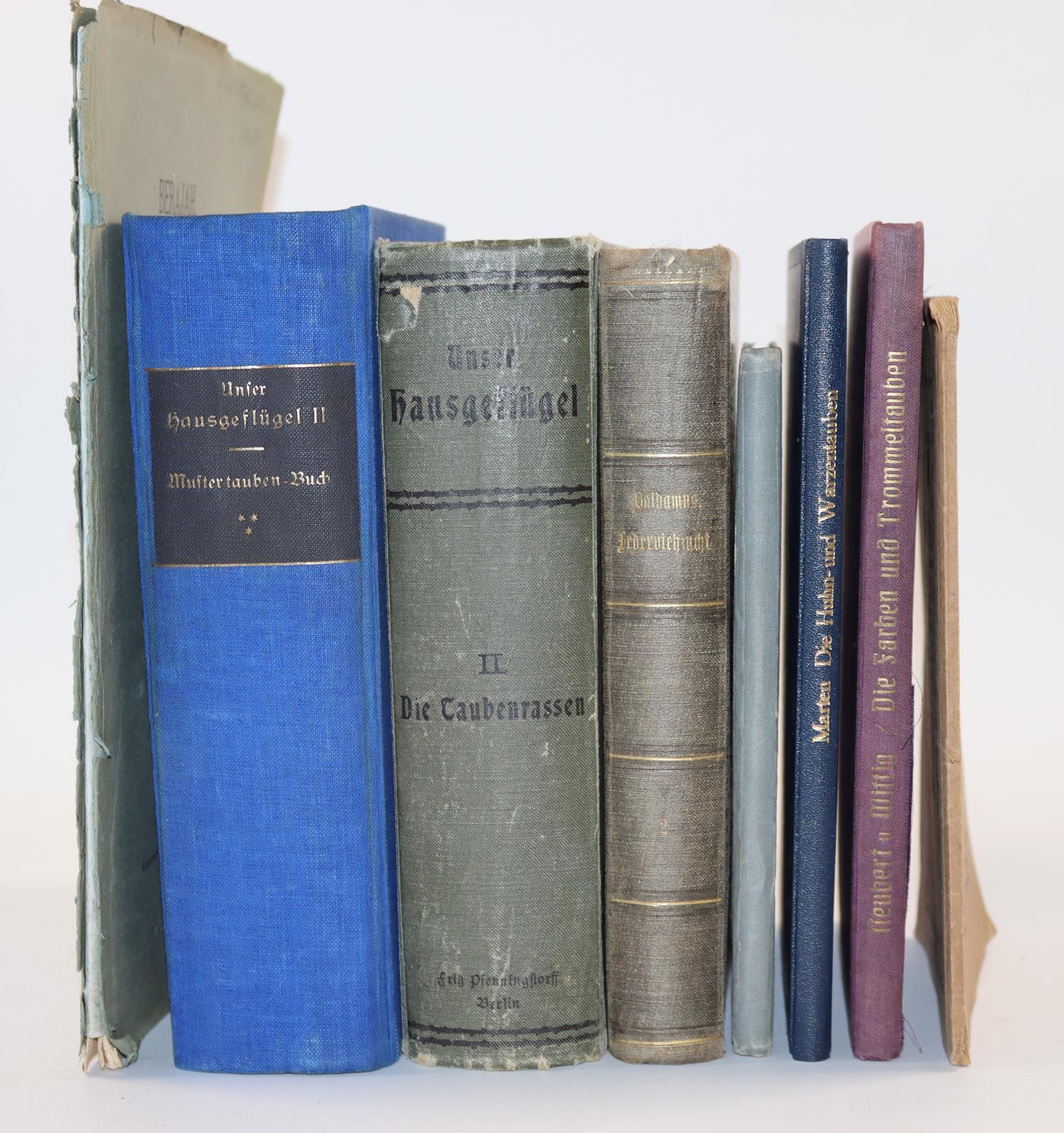 Baldamus,A.C.E. | Bild Nr.2