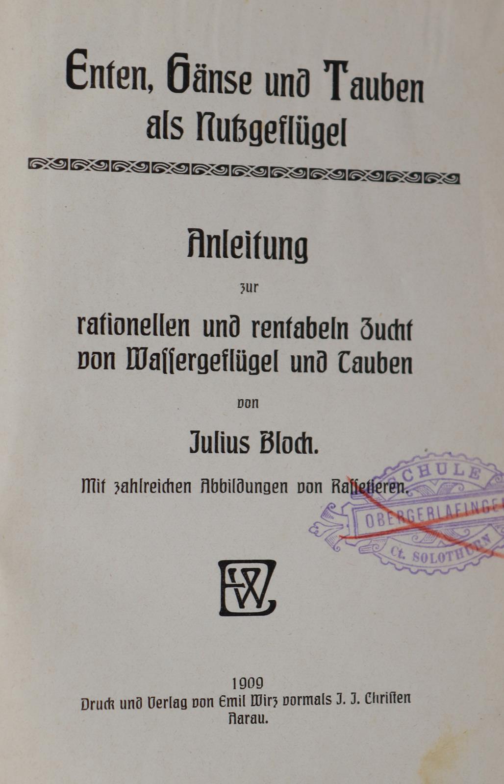 Baldamus,A.C.E. | Bild Nr.3