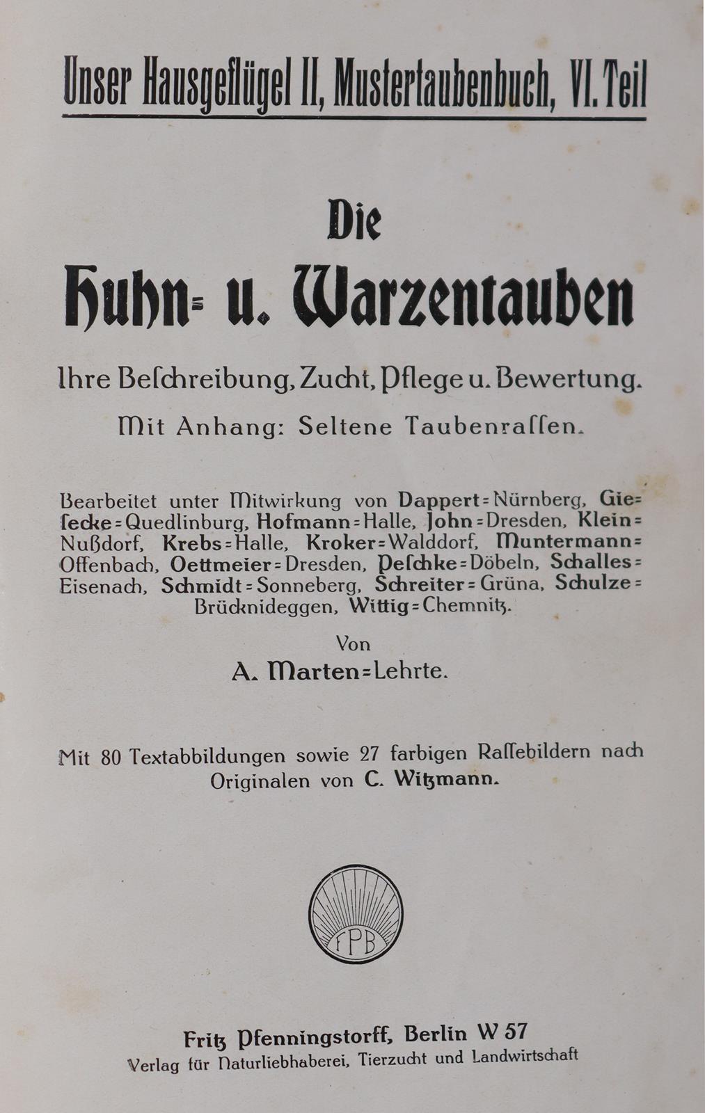 Baldamus,A.C.E. | Bild Nr.4