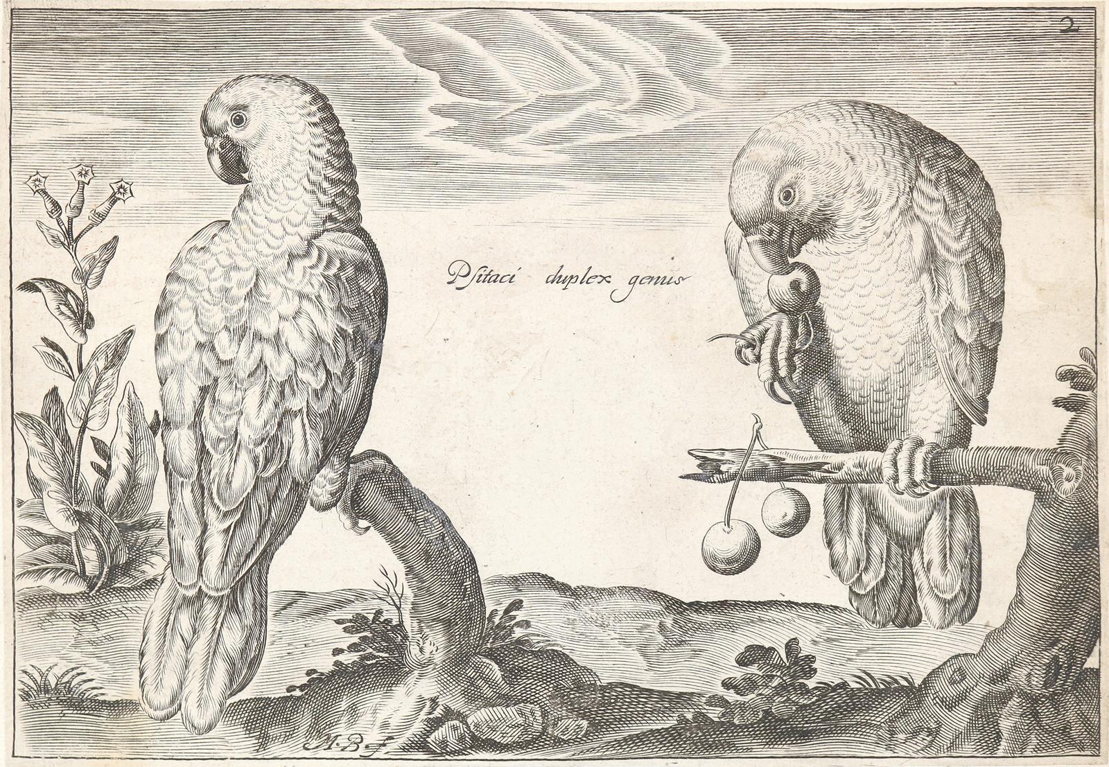 Briot, Marie. | Bild Nr.1