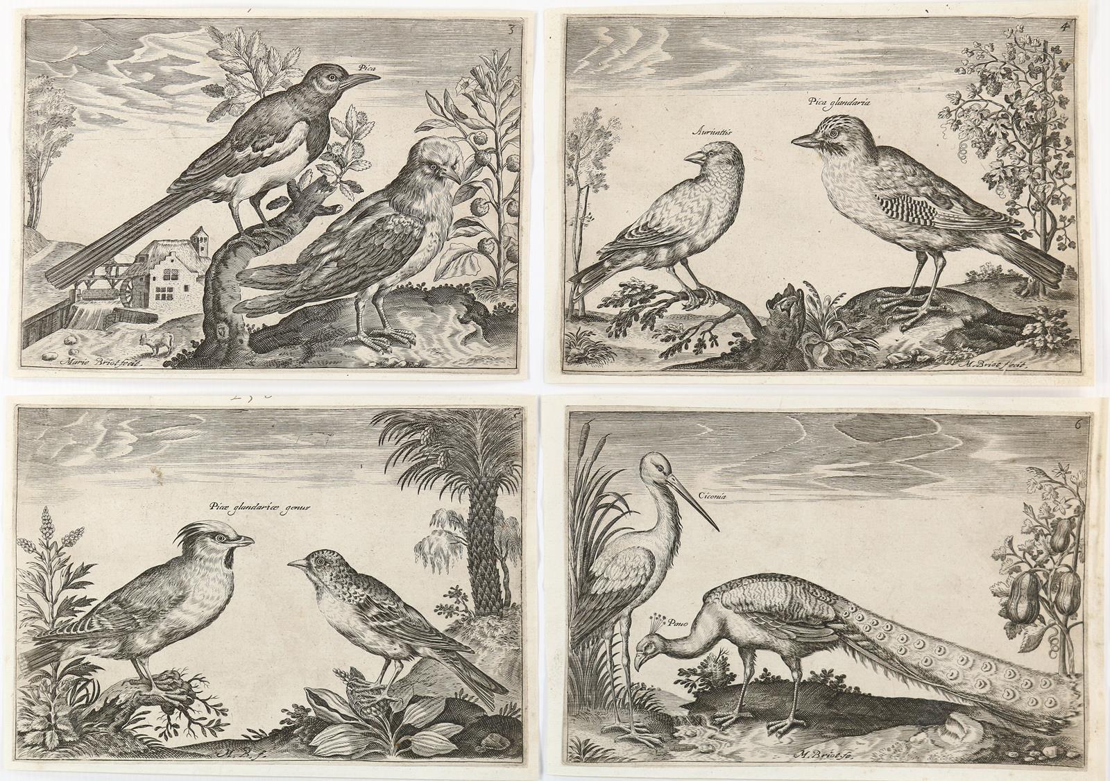 Briot, Marie. | Bild Nr.3