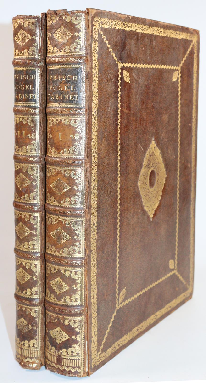 Frisch,J.L. | Bild Nr.6