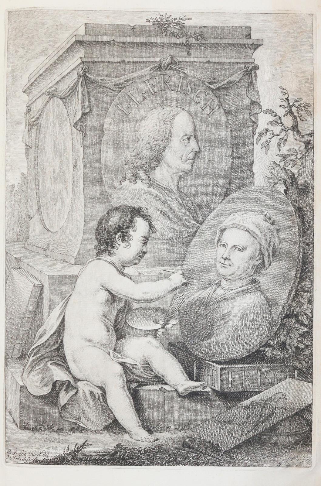 Frisch,J.L. | Bild Nr.8