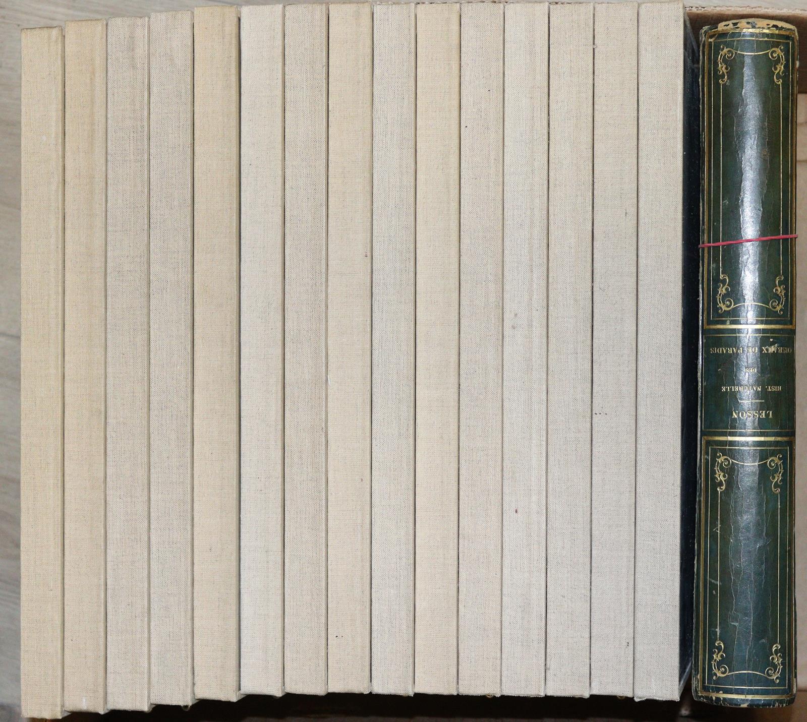 Lesson,R.P. | Bild Nr.5