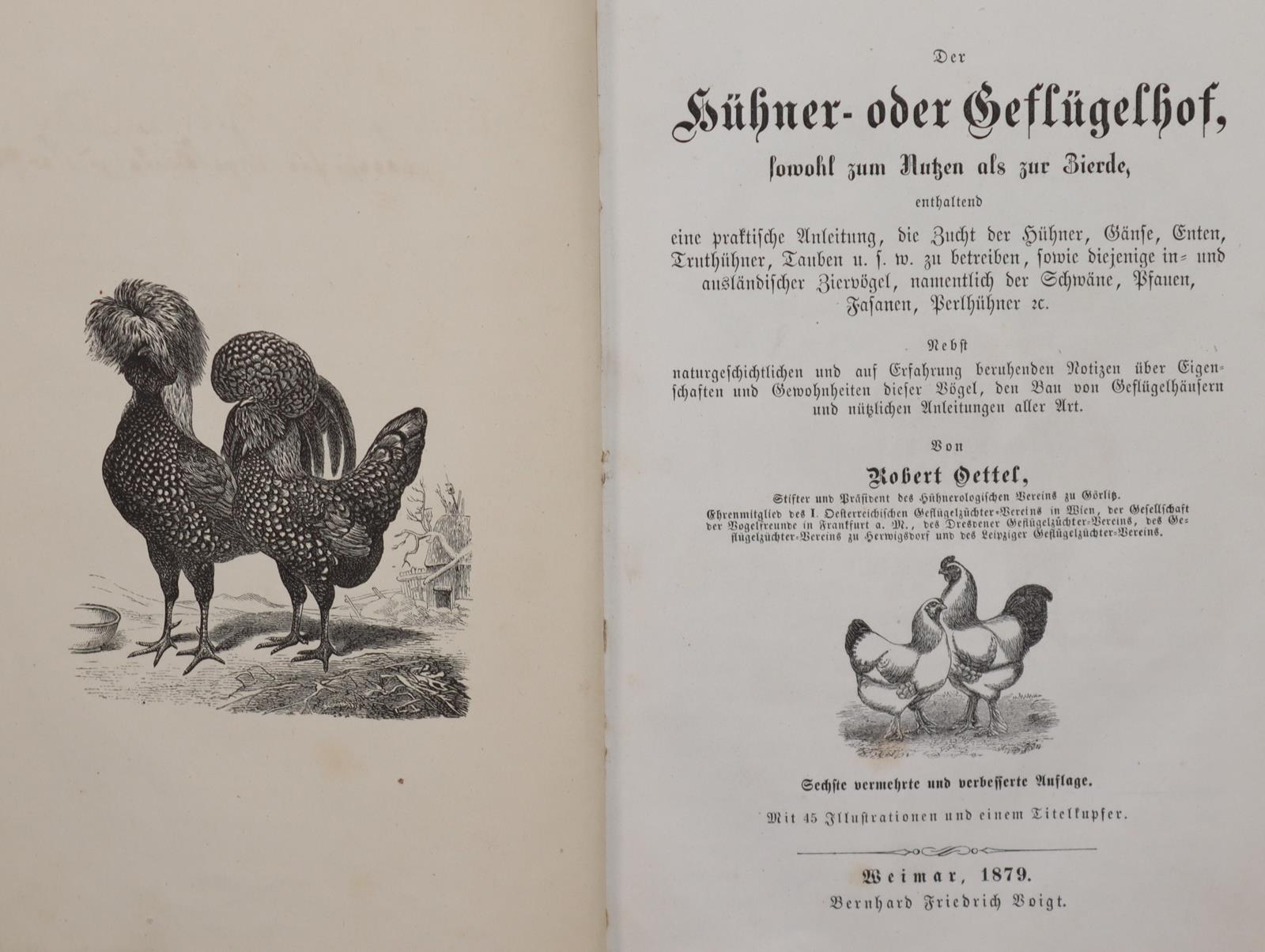 Meerwarth,H. u. K.Soffel. | Bild Nr.4