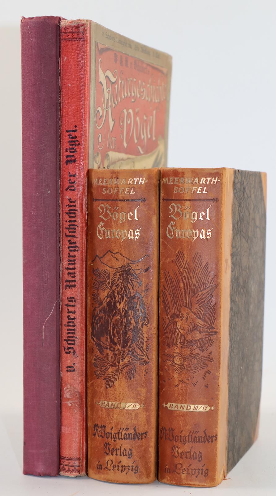 Meerwarth,H. u. K.Soffel. | Bild Nr.5