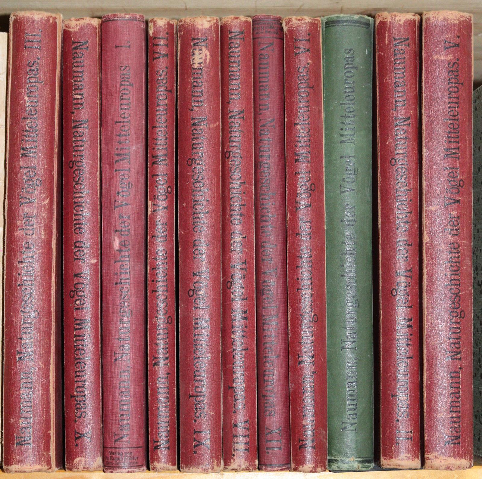 Naumann,(J.A.). | Bild Nr.5