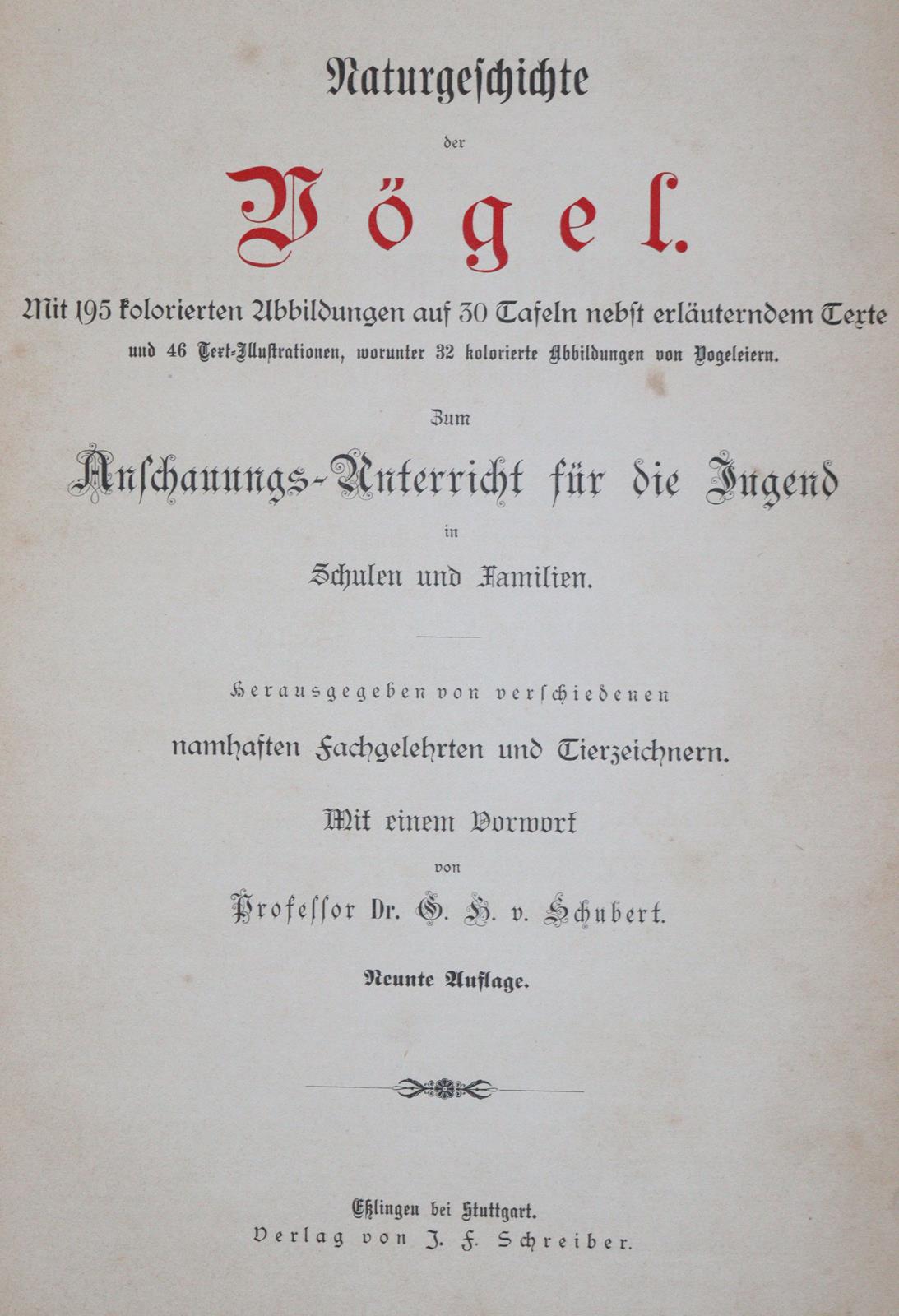 Ornithologie. | Bild Nr.4