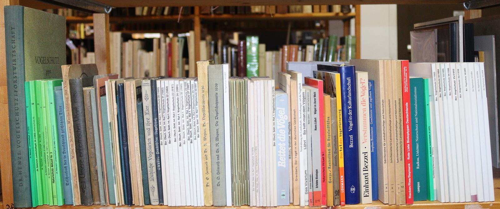 Ornithologie. | Bild Nr.2