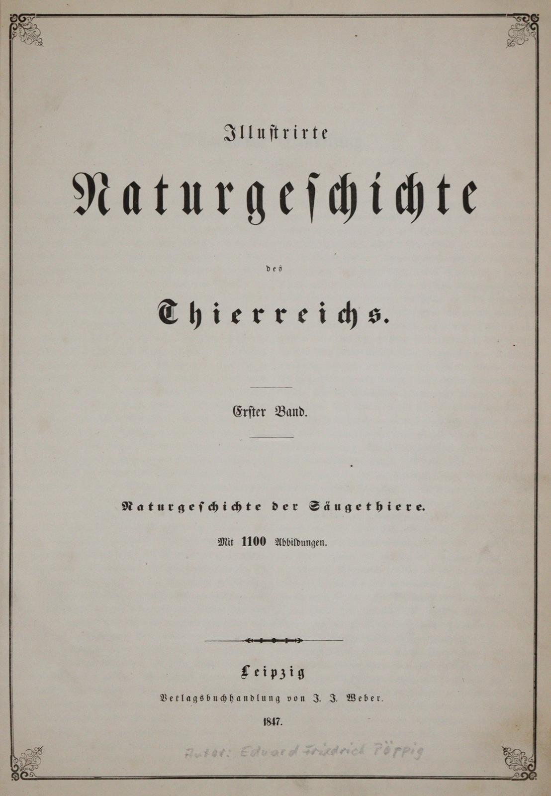 (Pöppig,E.). | Bild Nr.1