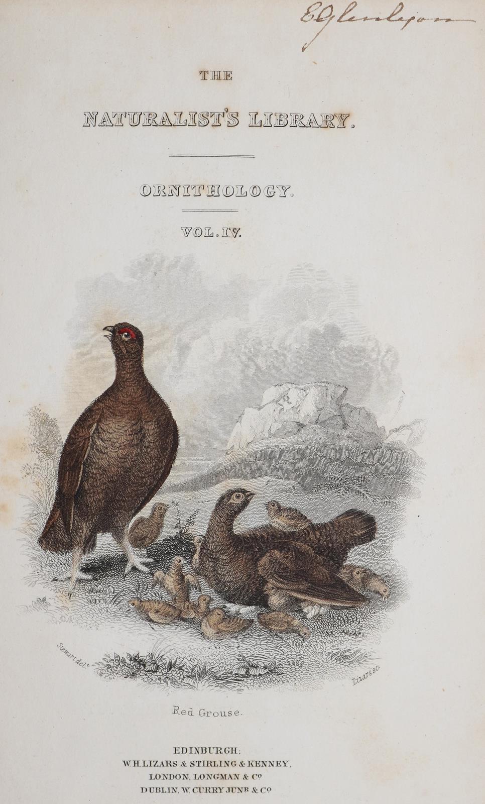 Sammlung | Bild Nr.1