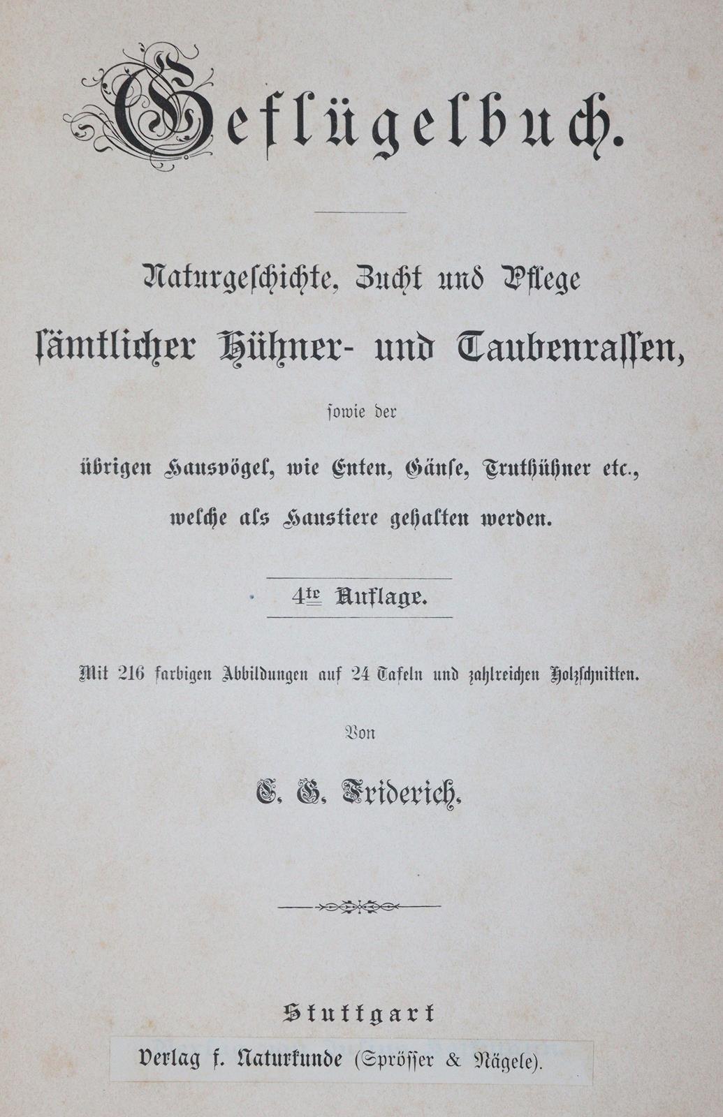 Baldamus,A.C.E. | Bild Nr.1