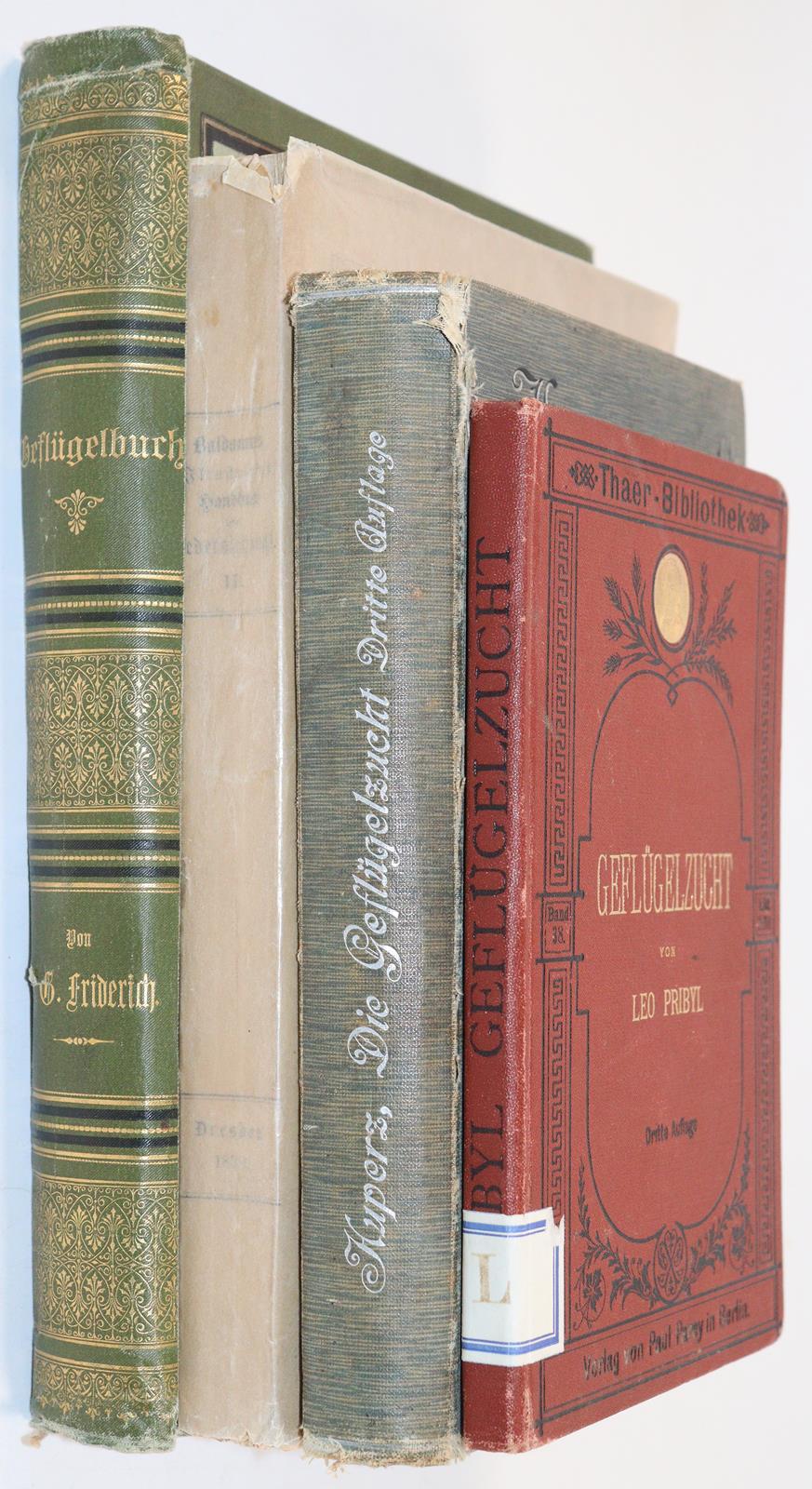 Baldamus,A.C.E. | Bild Nr.5