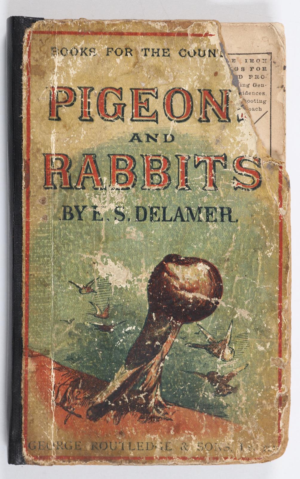 Dixon,E.S. | Bild Nr.4