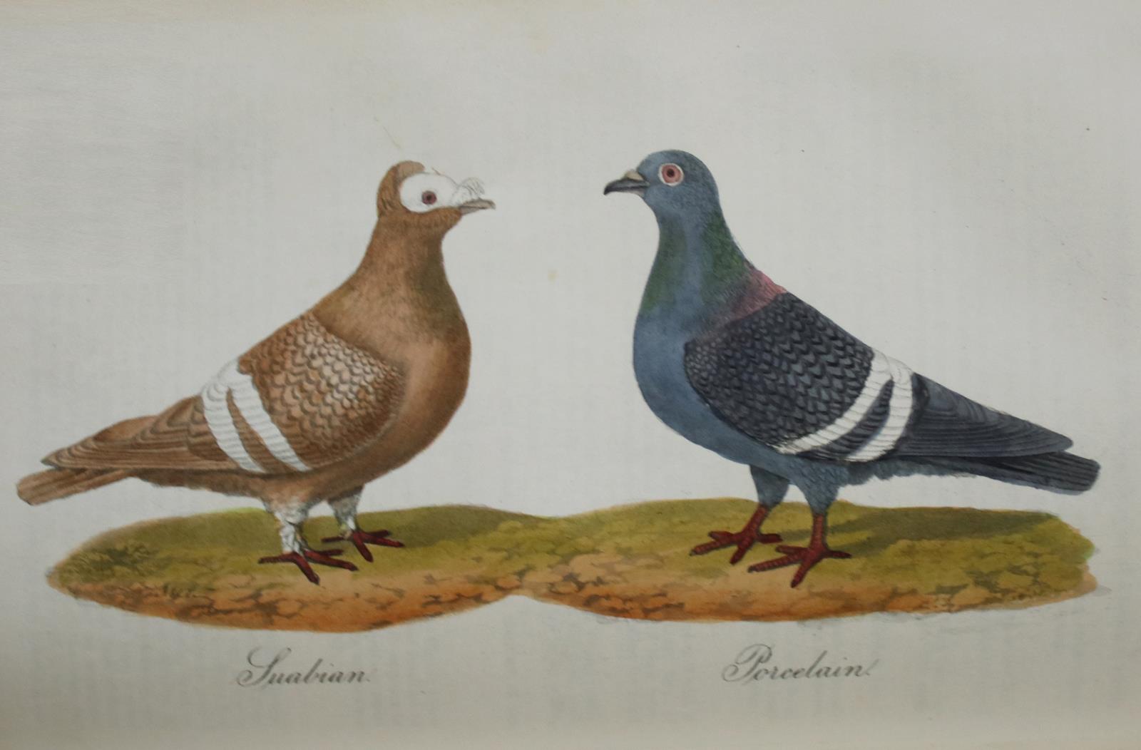 Eaton,J.M. | Bild Nr.3