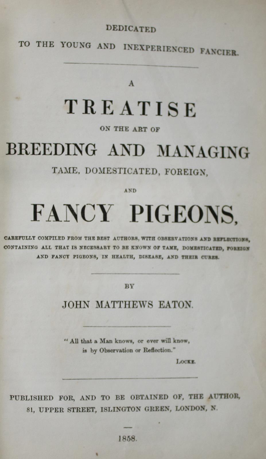 Eaton,J.M. | Bild Nr.4