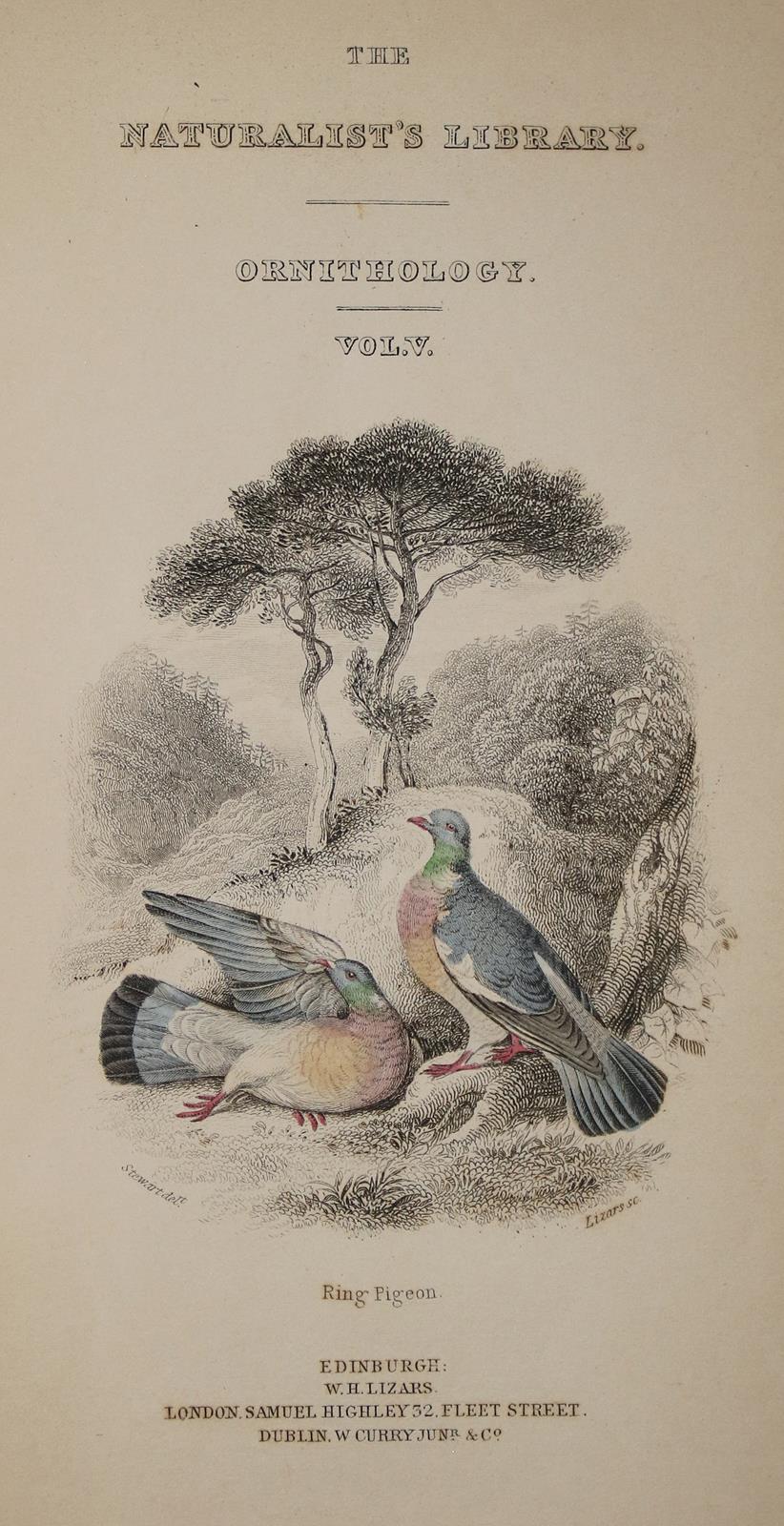 Eaton,J.M. | Bild Nr.6