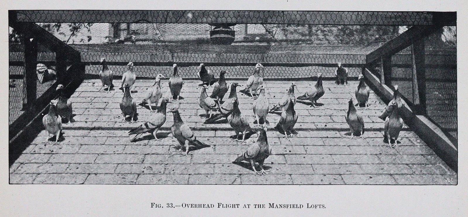 Fletcher,W.R. | Bild Nr.3