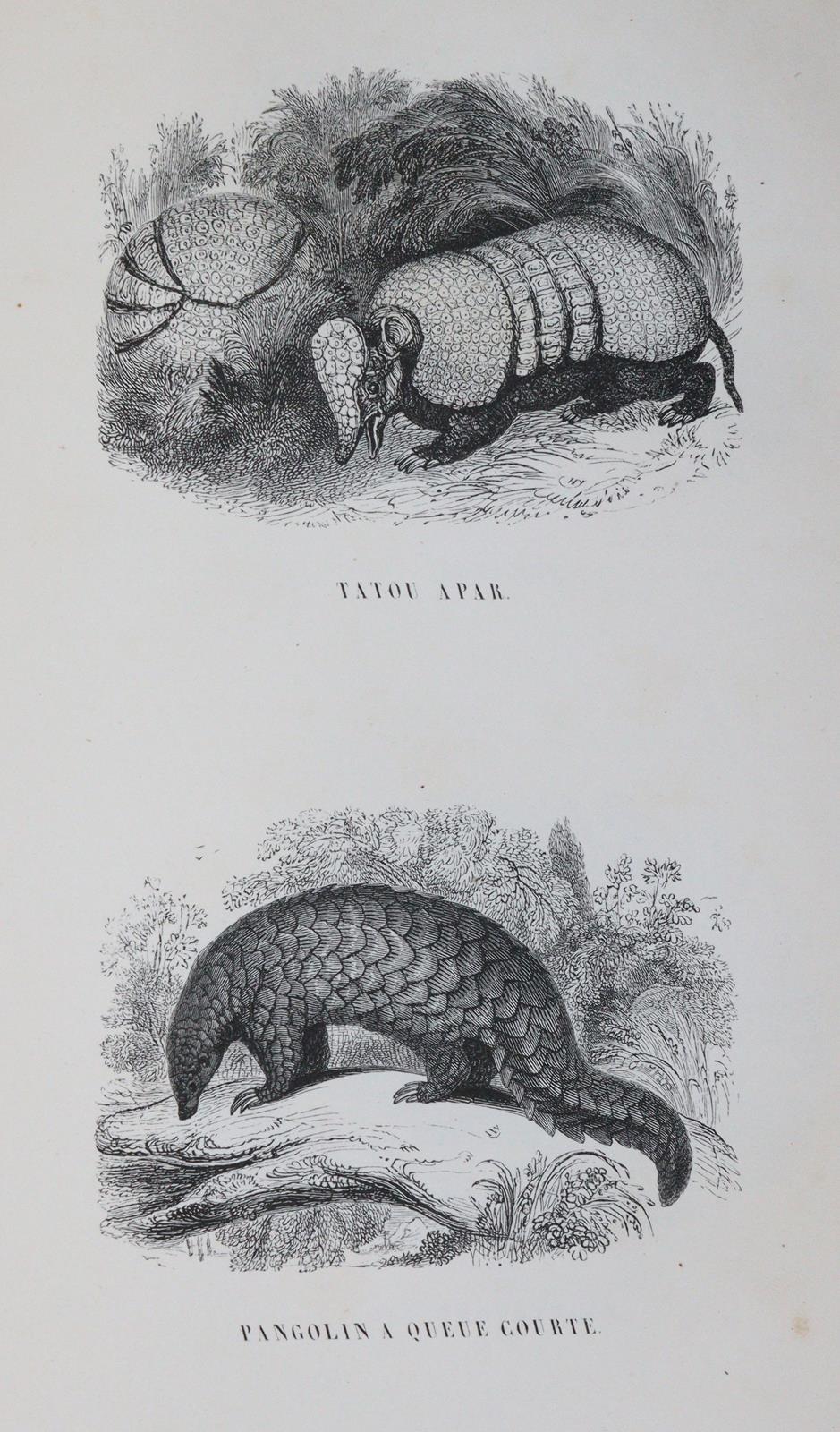 Fulton,R. | Bild Nr.4