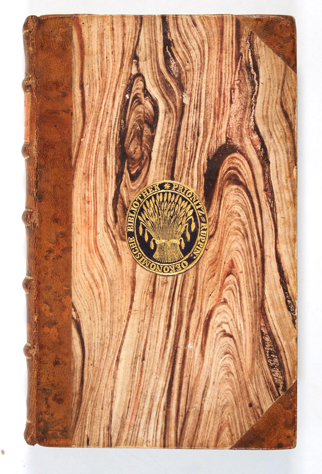 Gründlicher Unterricht | Bild Nr.2