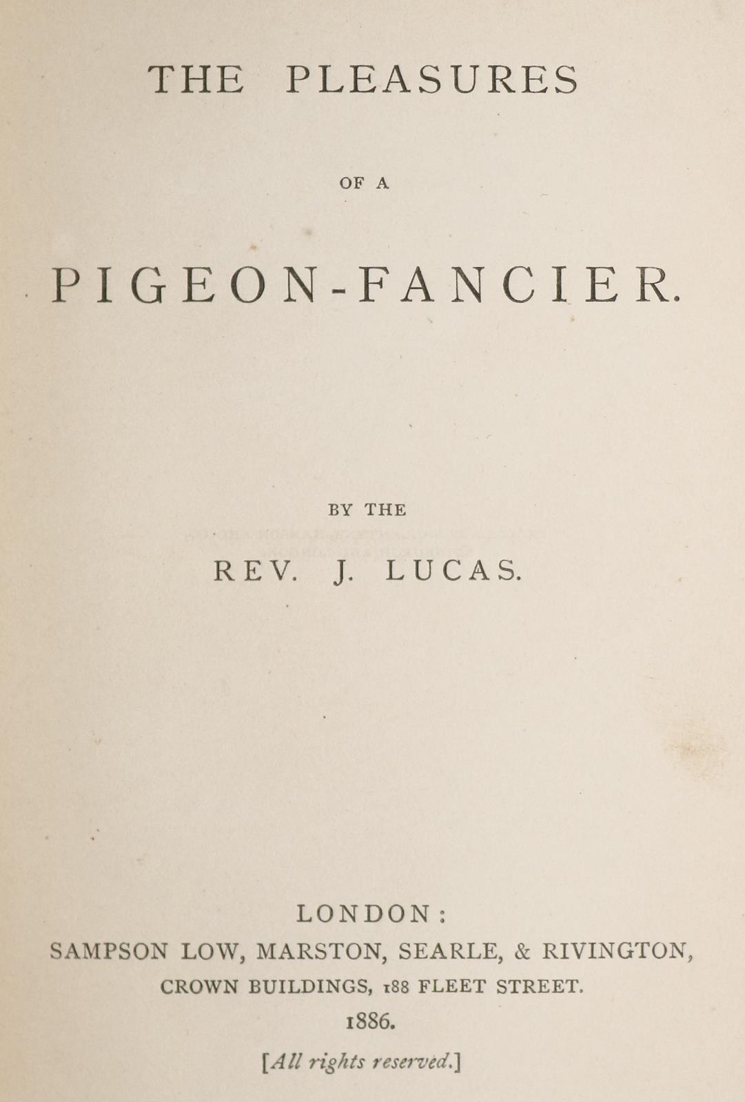 Lucas,J. | Bild Nr.2