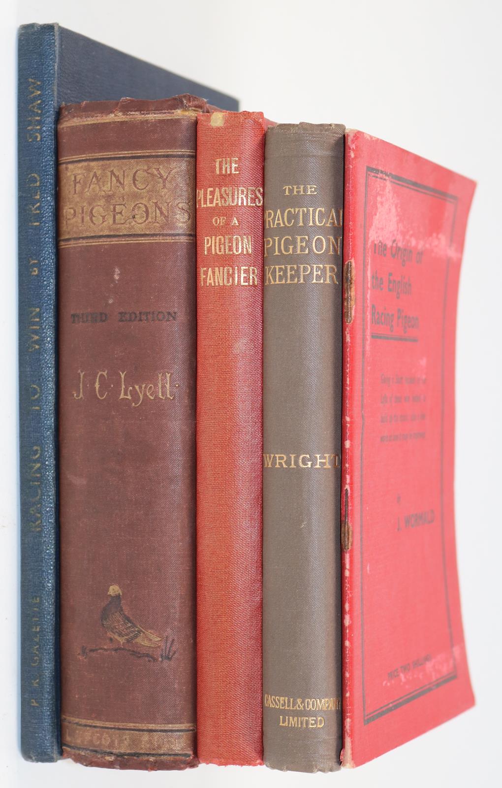 Lucas,J. | Bild Nr.3