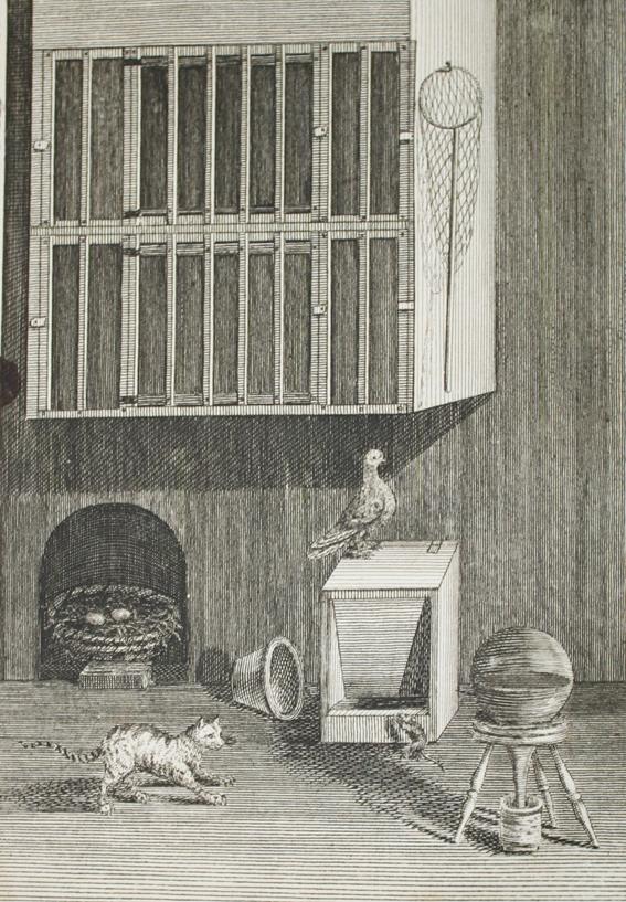 (Moore,J.). | Bild Nr.1