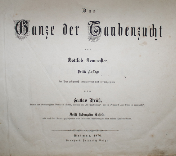 Neumeister,G. | Bild Nr.1