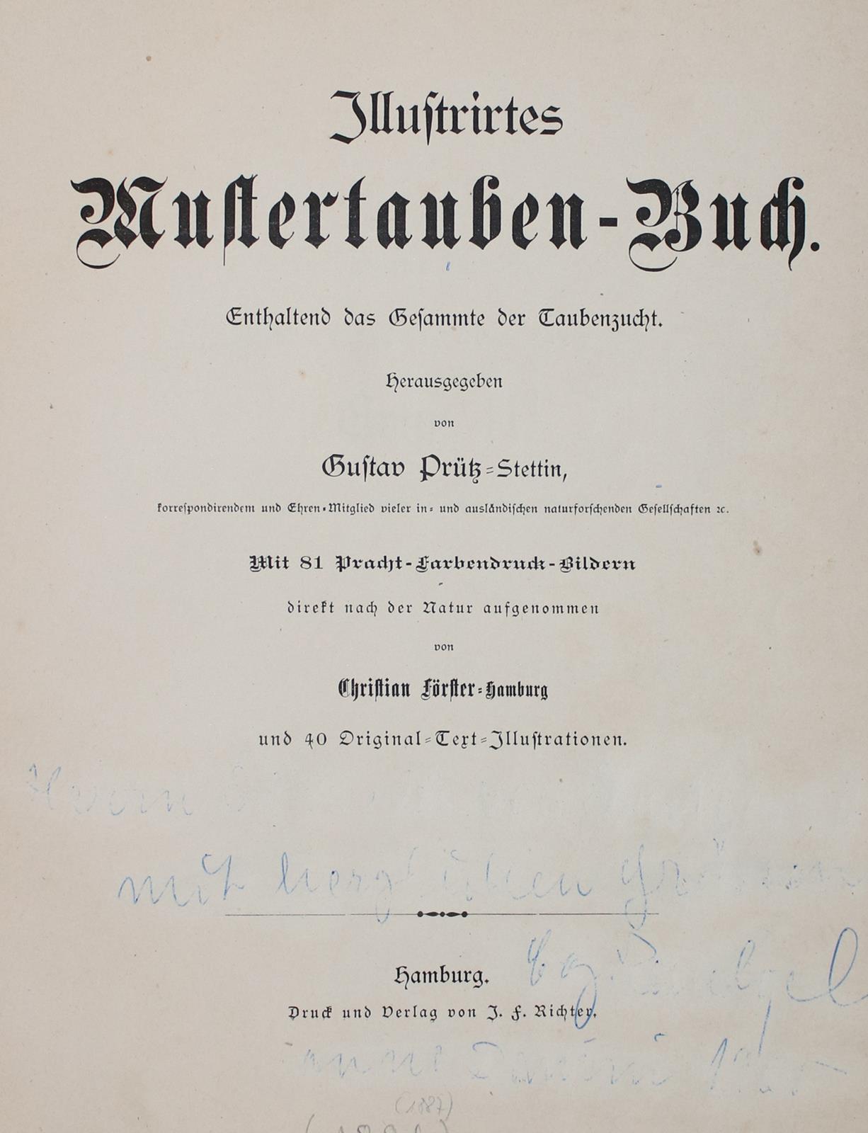 Prütz,G. | Bild Nr.3