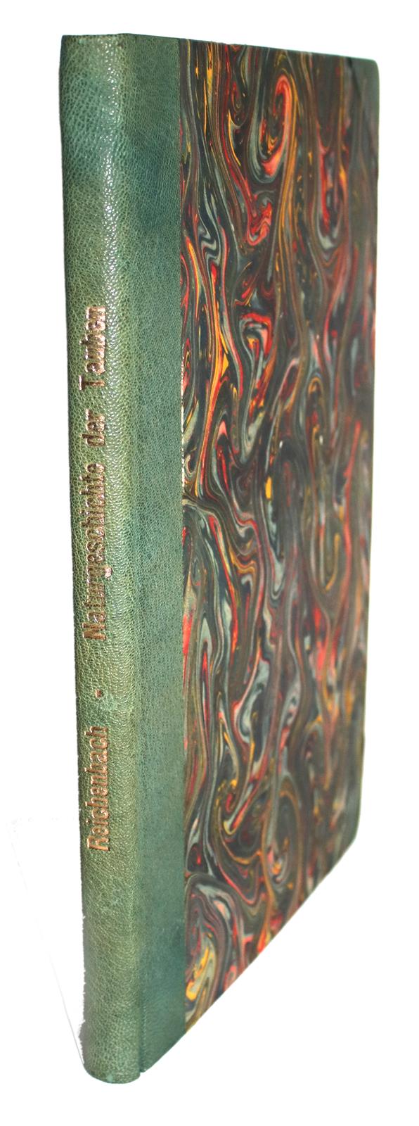 Reichenbach,H.G.L. | Bild Nr.4