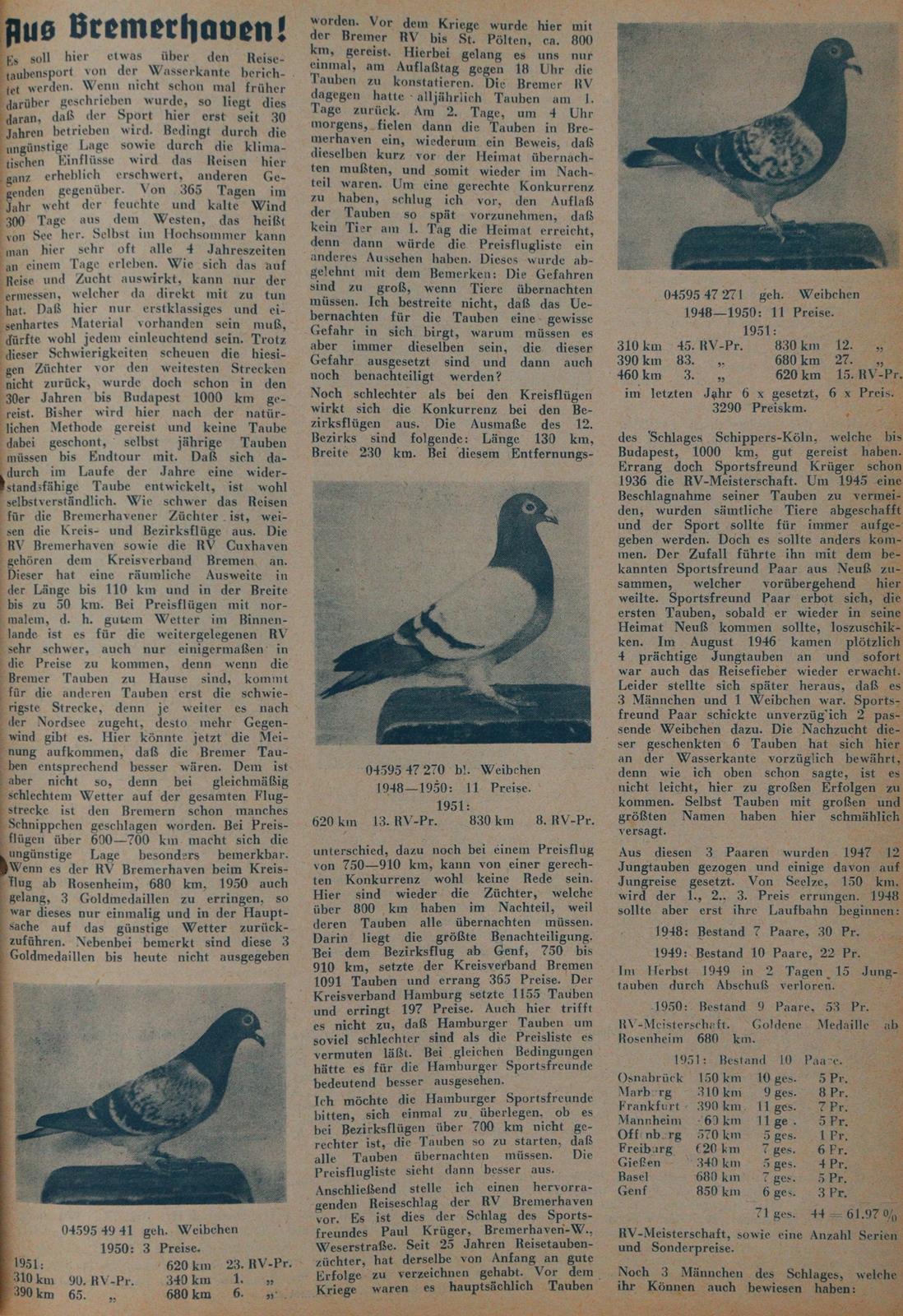 Reisetaube, Die. | Bild Nr.3