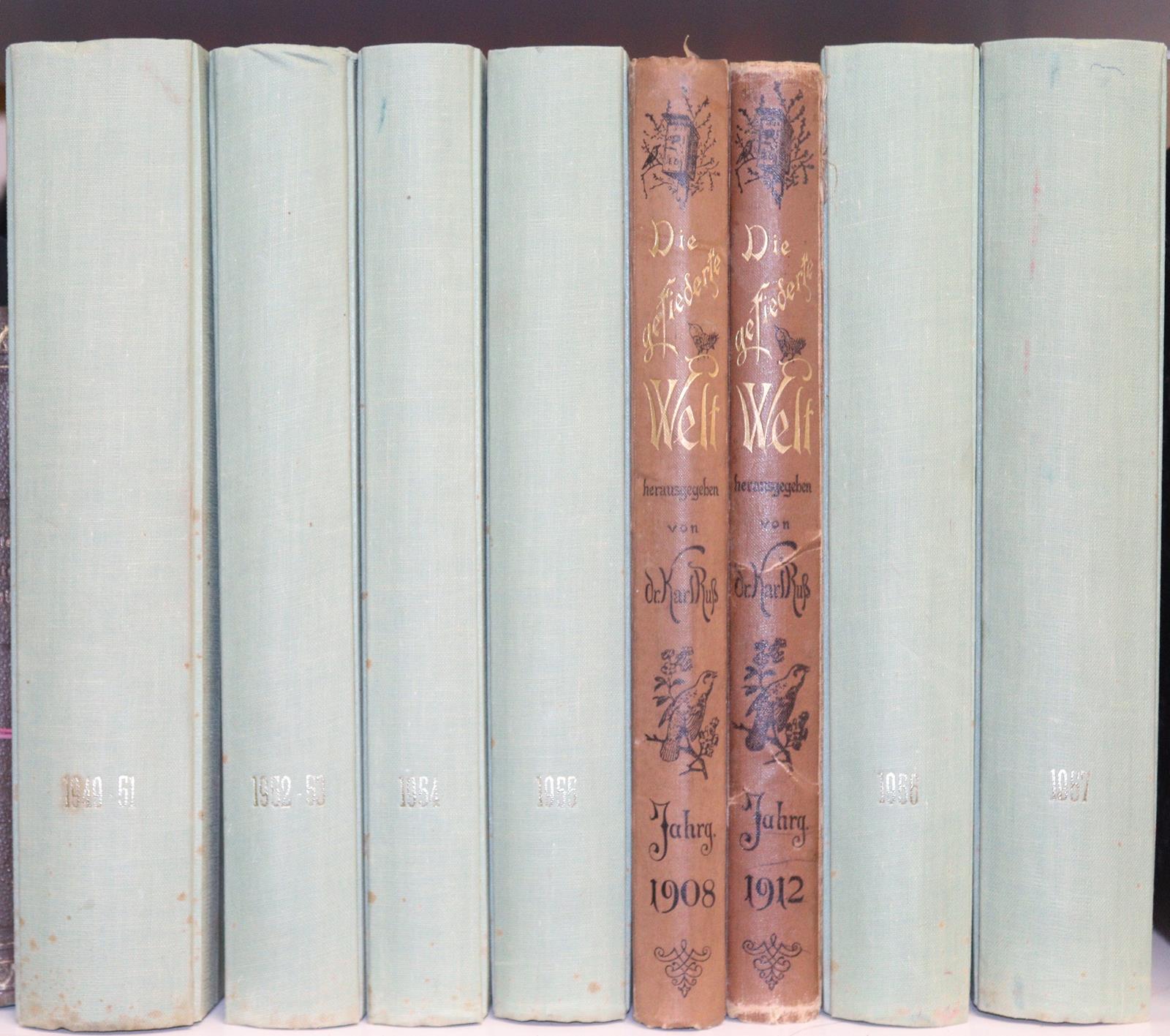 Reisetaube, Die. | Bild Nr.4