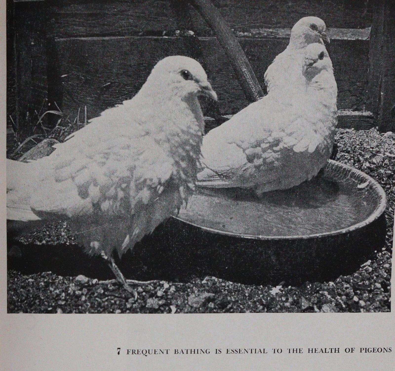 Sammlung | Bild Nr.1