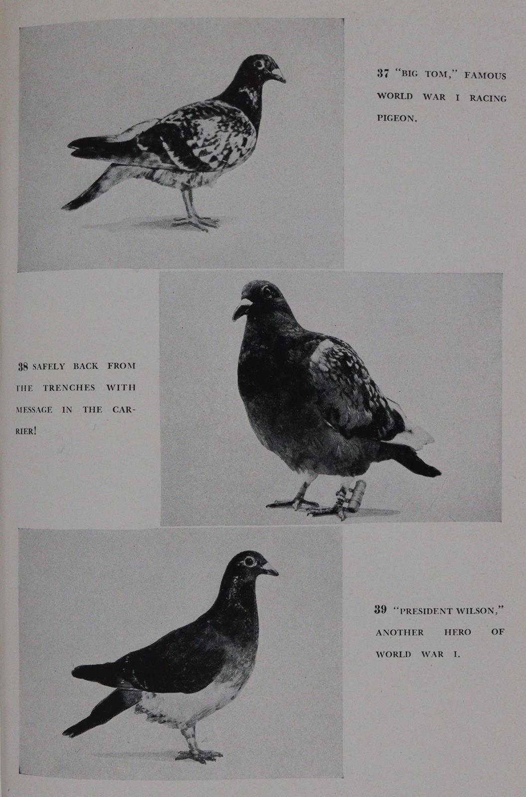 Sammlung | Bild Nr.2