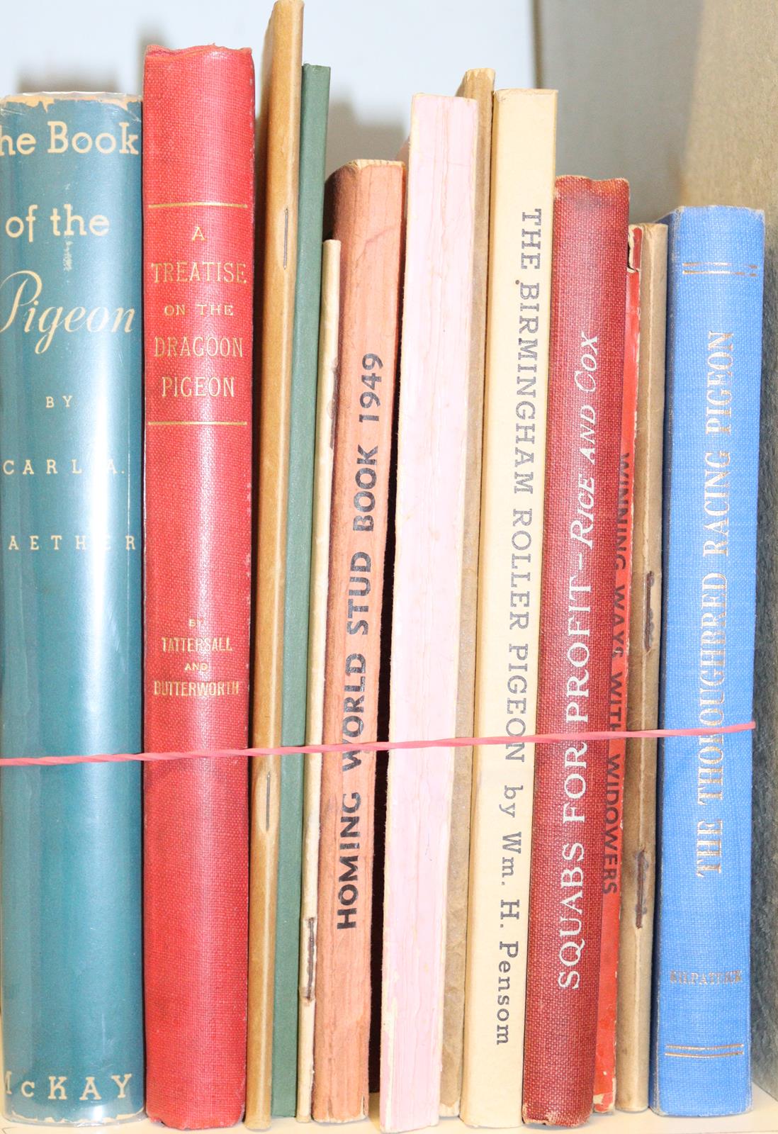 Sammlung | Bild Nr.4