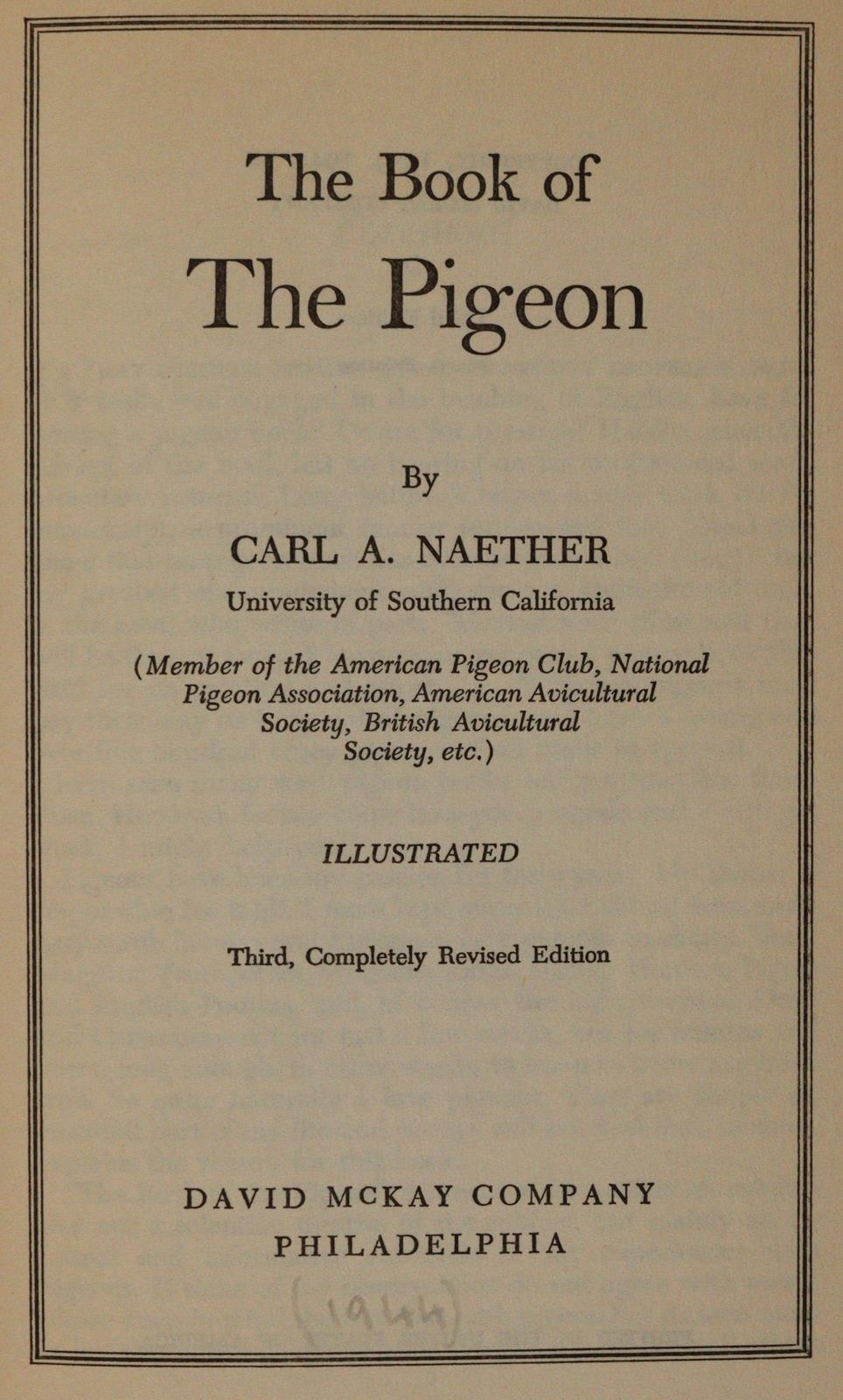 Sammlung | Bild Nr.5