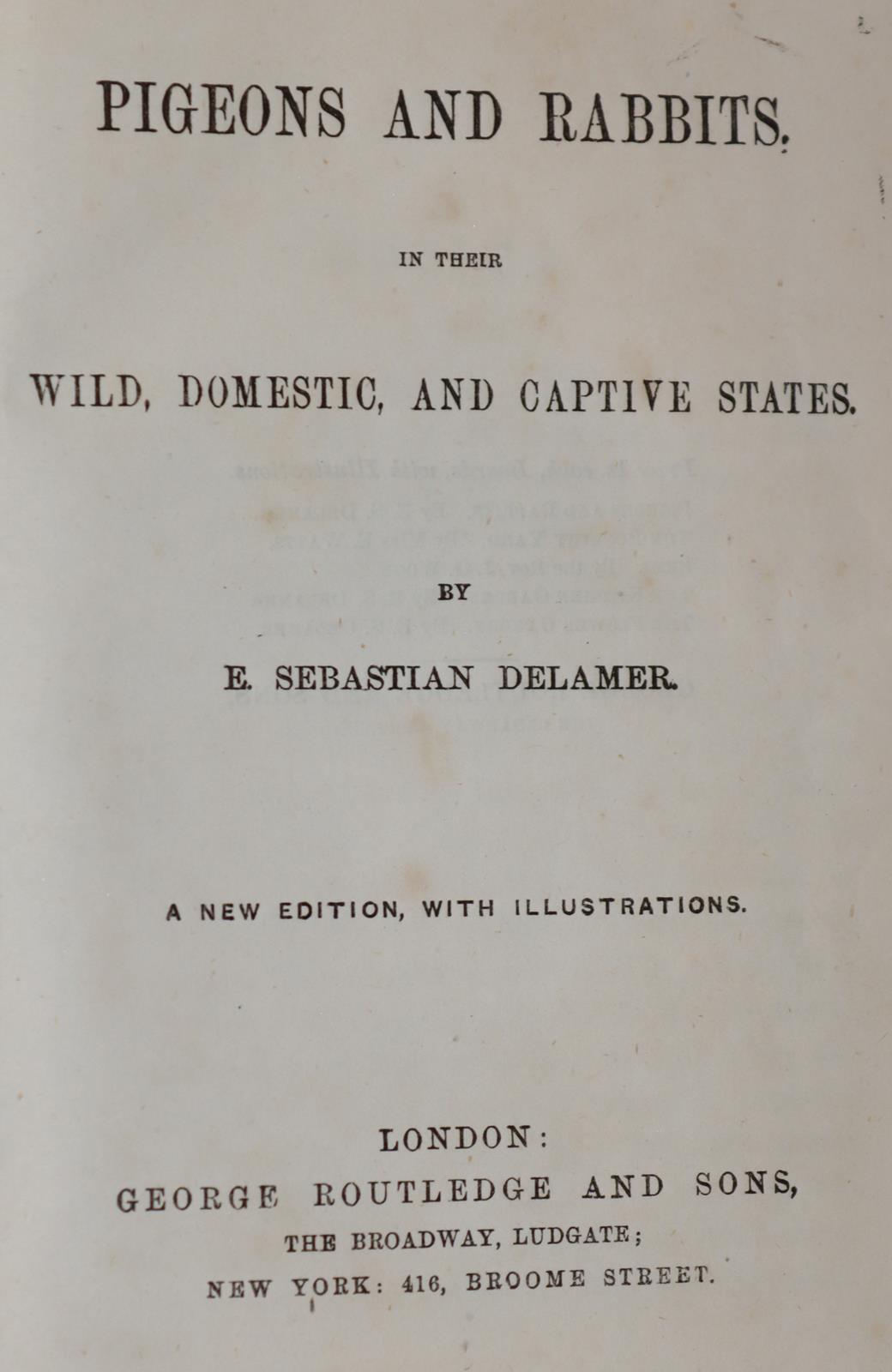 Sammlung | Bild Nr.1