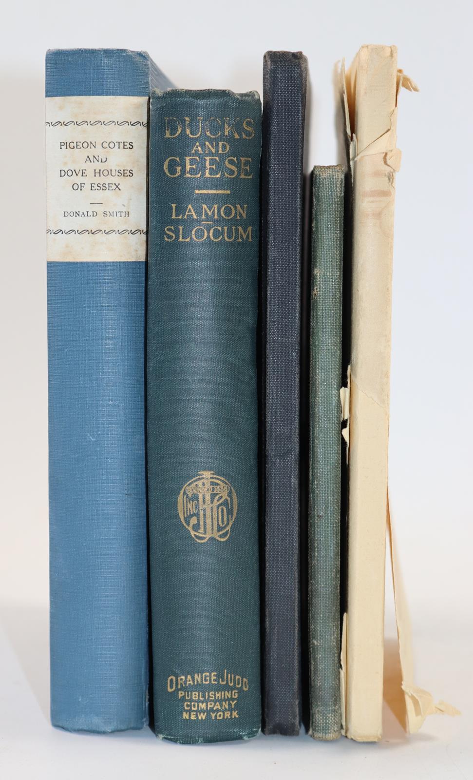 Sammlung | Bild Nr.2