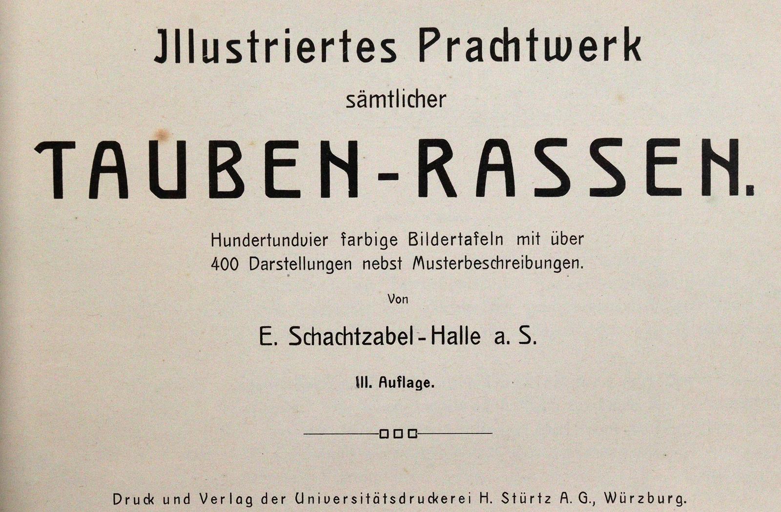 Sammlung | Bild Nr.1