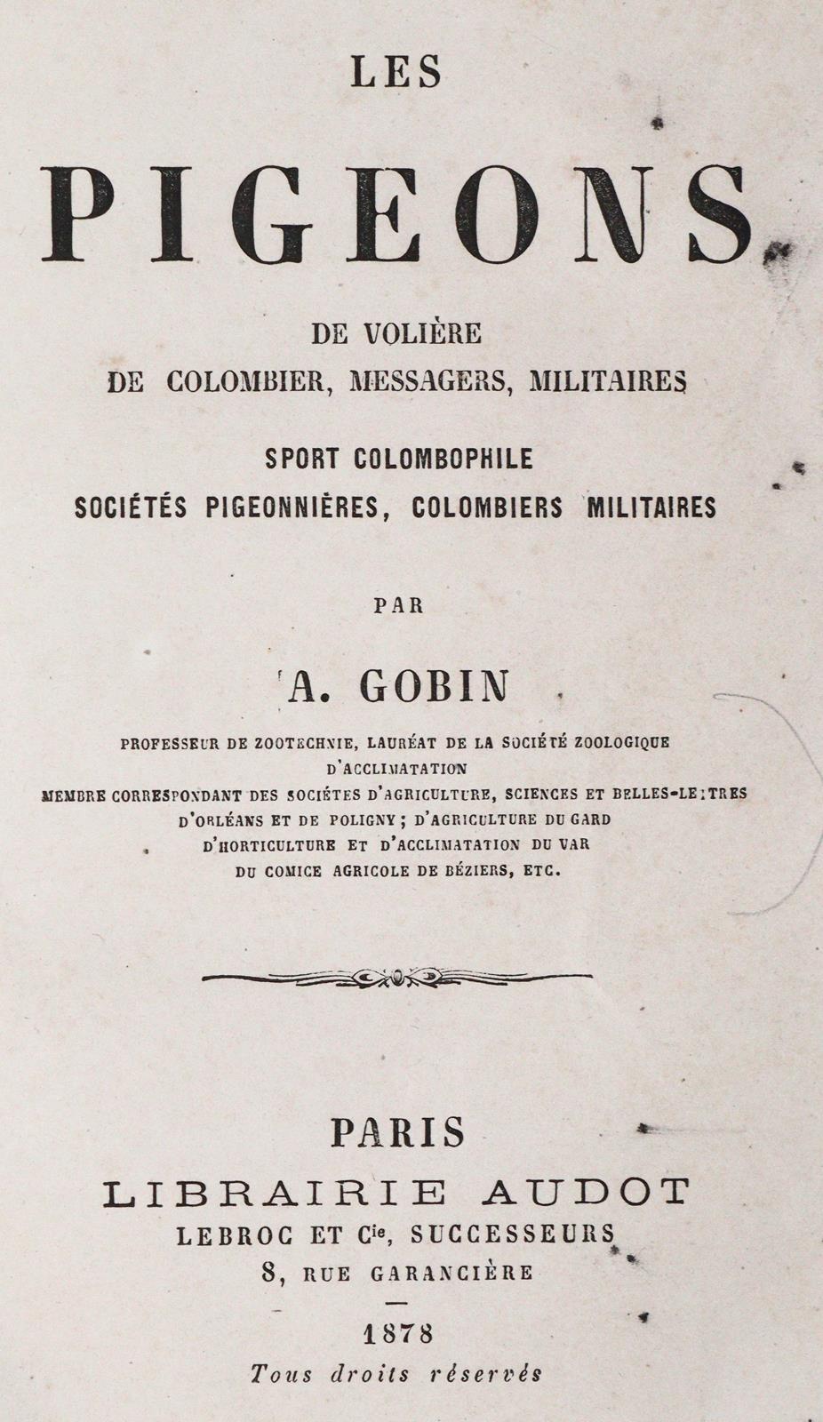 Sammlung | Bild Nr.1