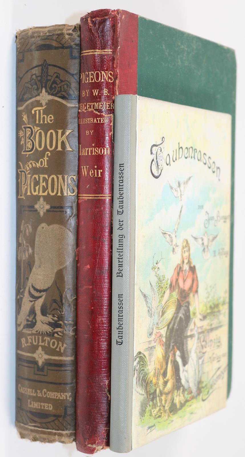 Schachtzabel,E. | Bild Nr.3