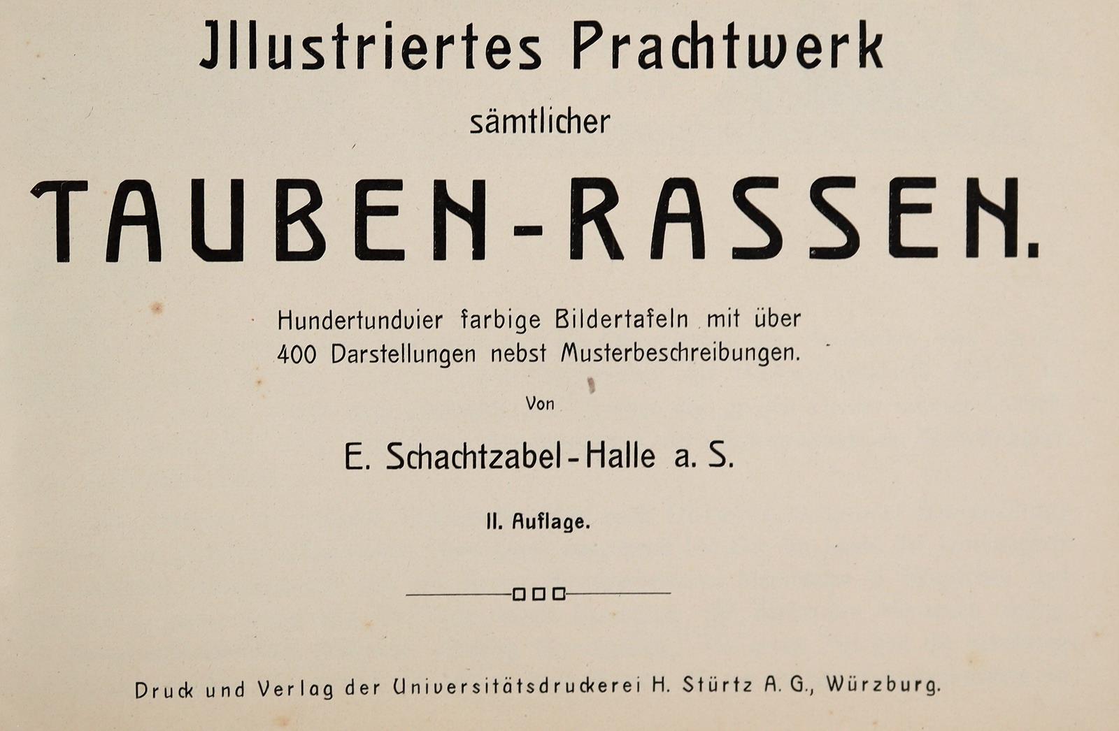 Schachtzabel,E. | Bild Nr.1