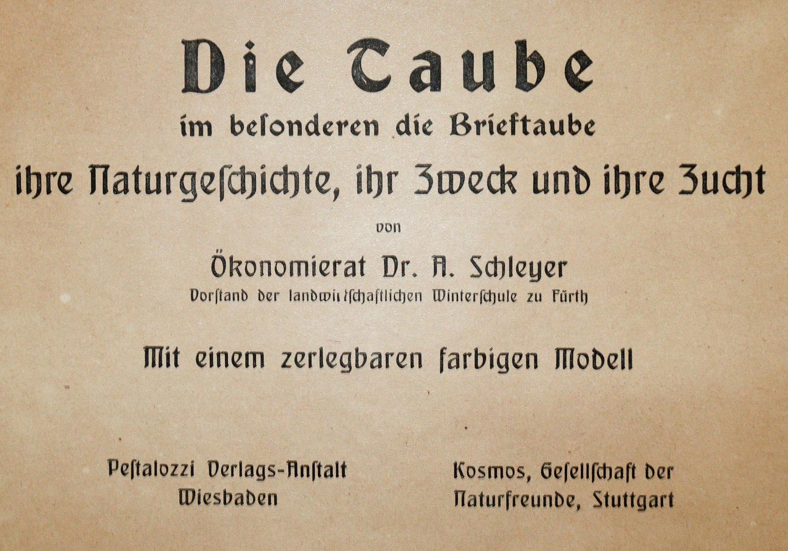 Schleyer,A. | Bild Nr.1