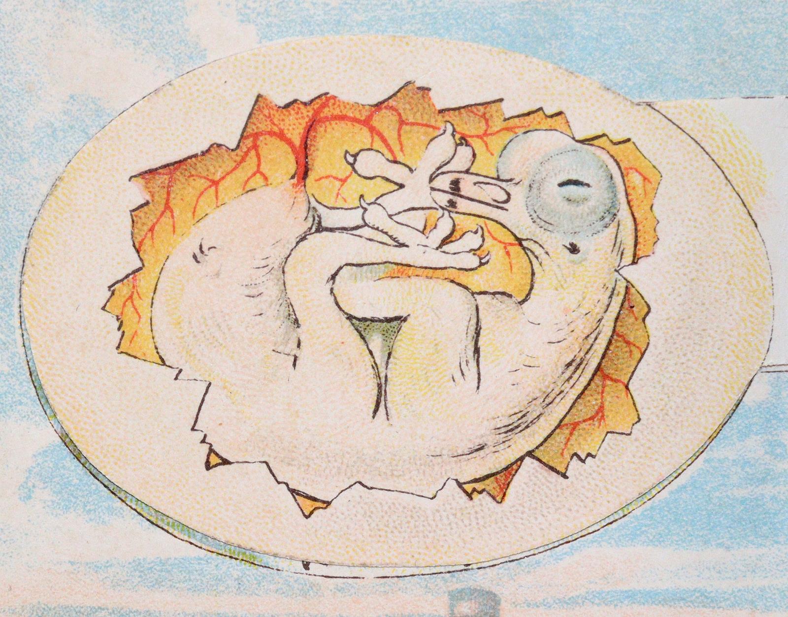 Schleyer,A. | Bild Nr.3