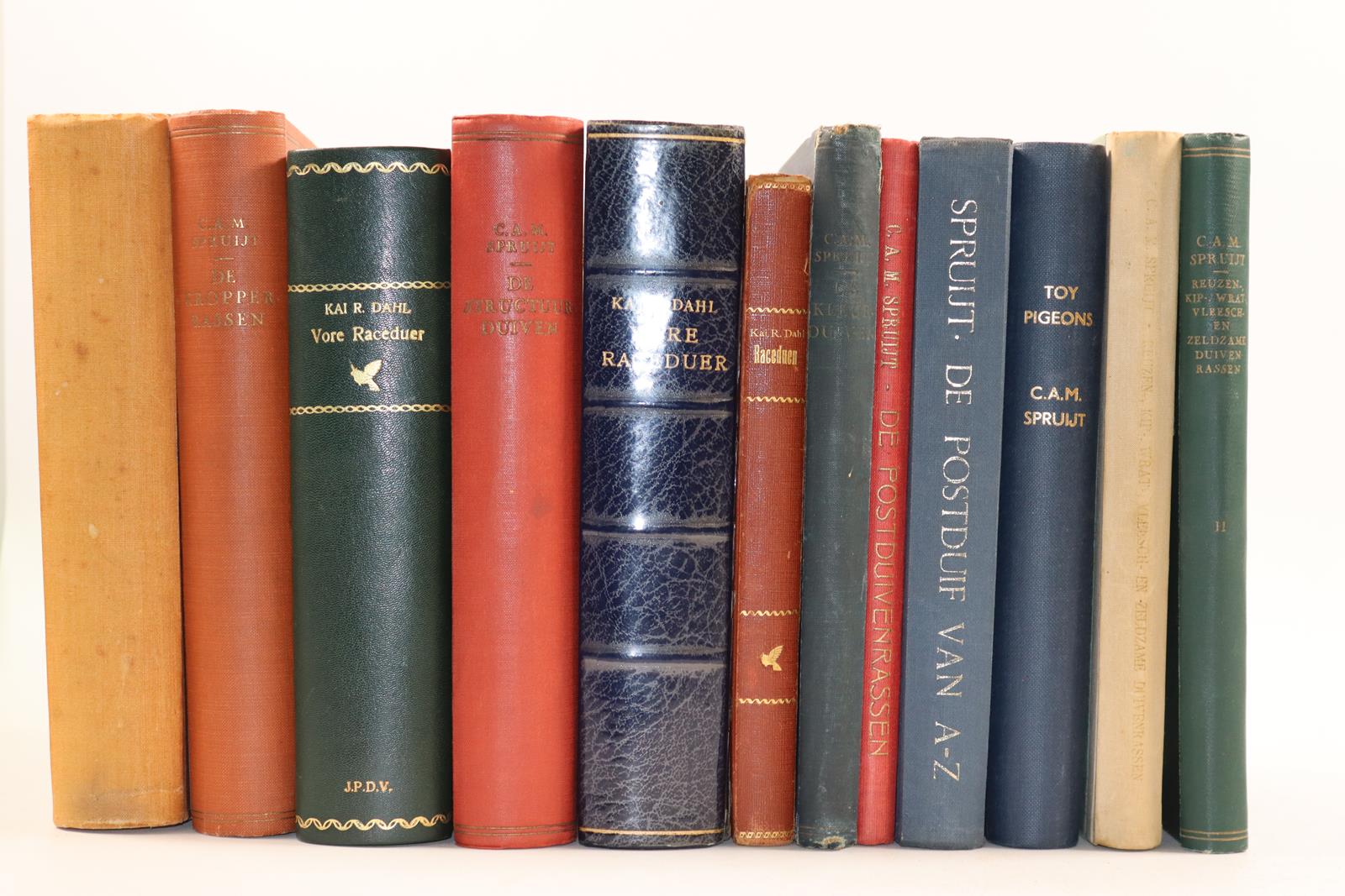 Spruijt,C.A.M. | Bild Nr.5