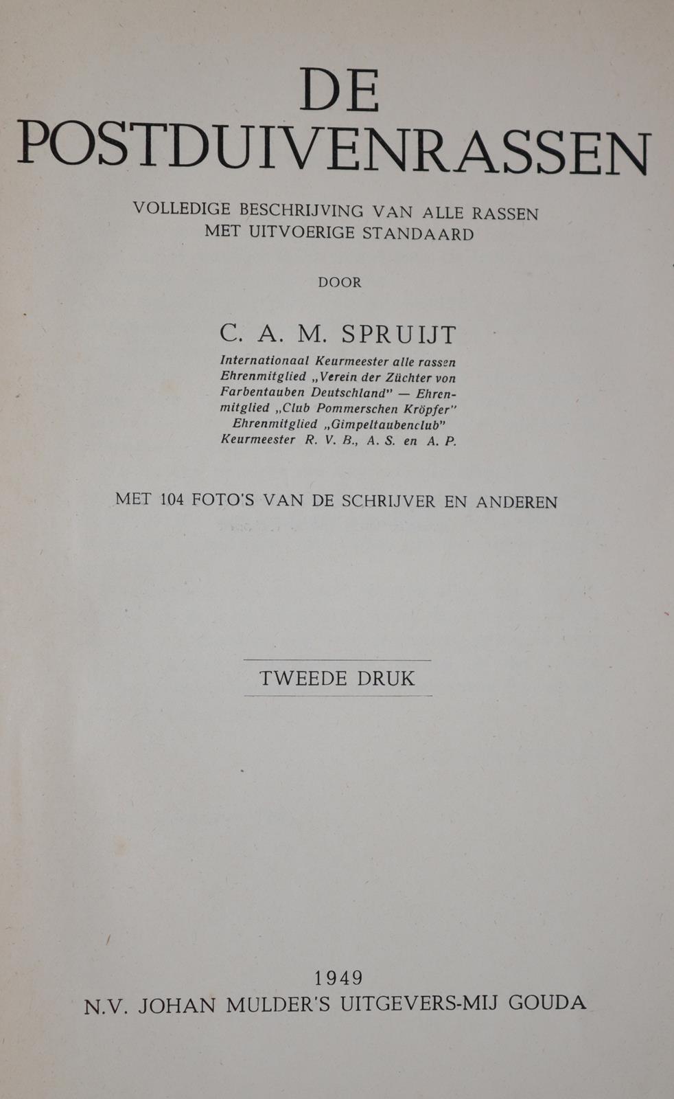 Spruijt,C.A.M. | Bild Nr.6