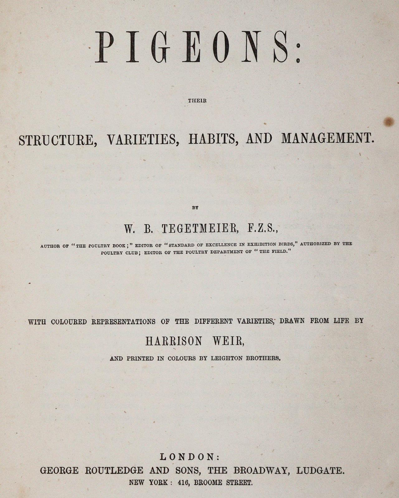 Tegetmeier,W.B. | Bild Nr.1