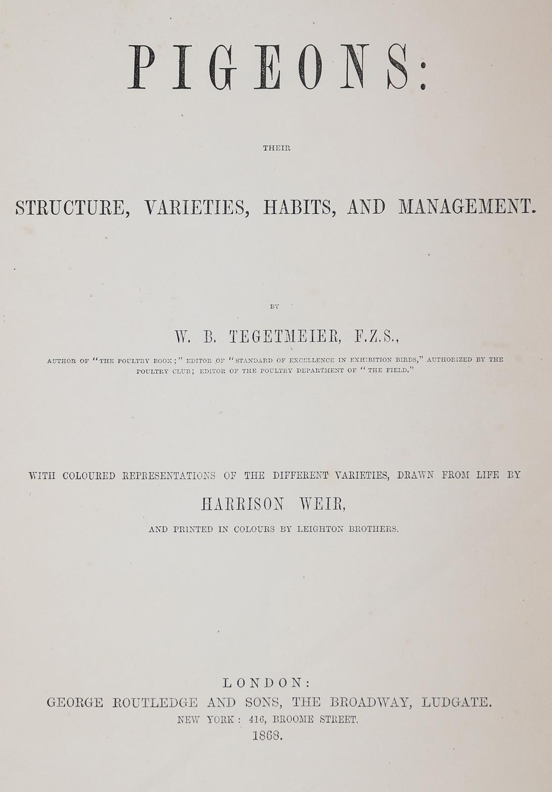 Tegetmeier,W.B. | Bild Nr.2