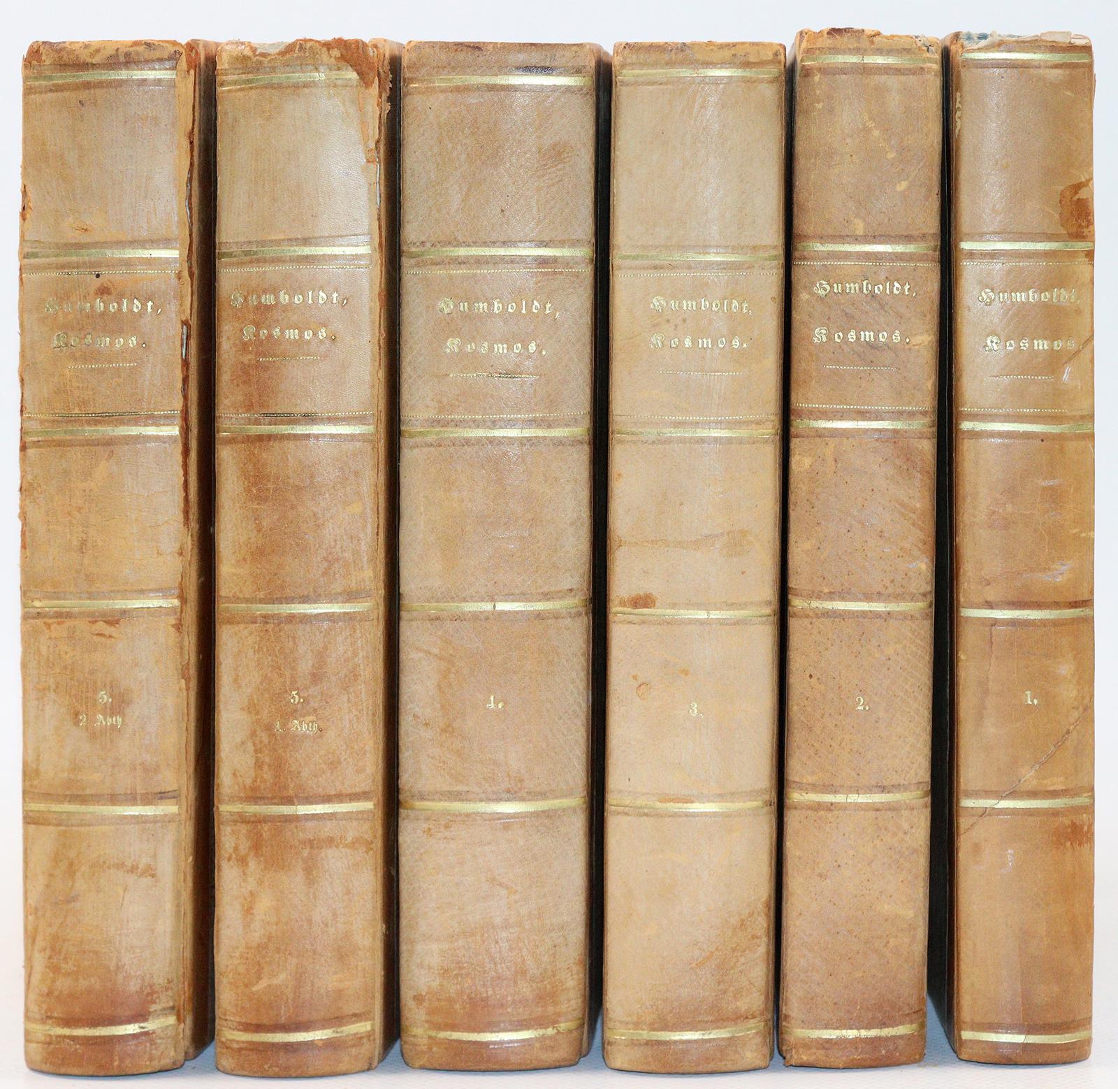 Humboldt,A.v. | Bild Nr.2